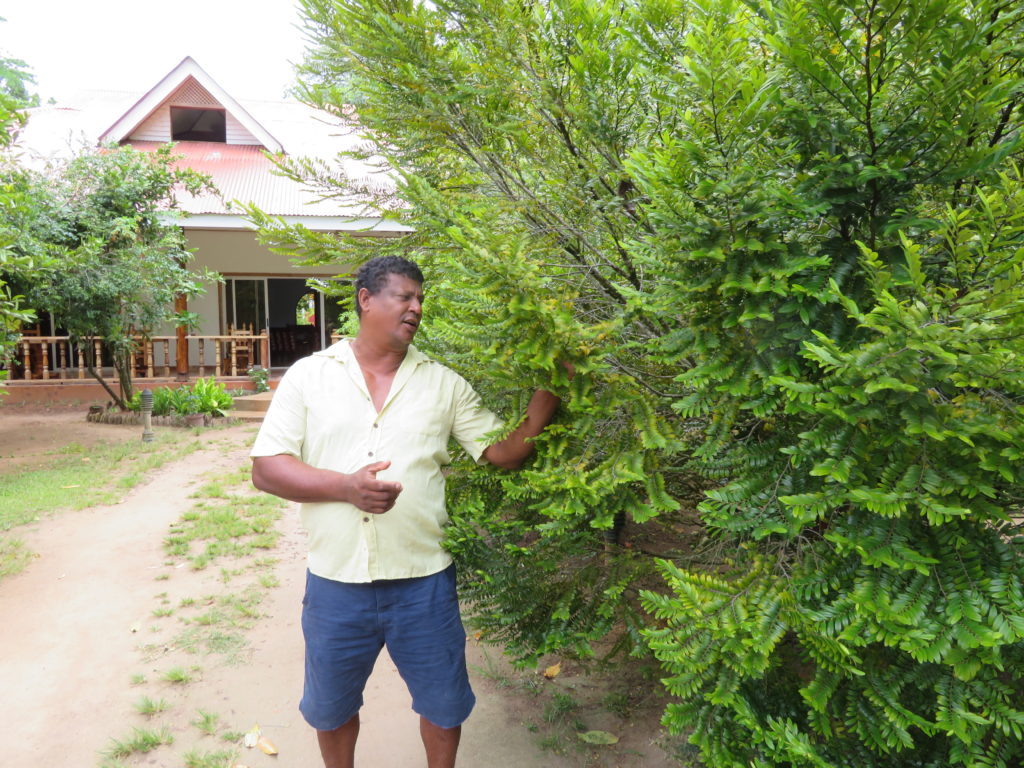 At Farm in Praslin Island