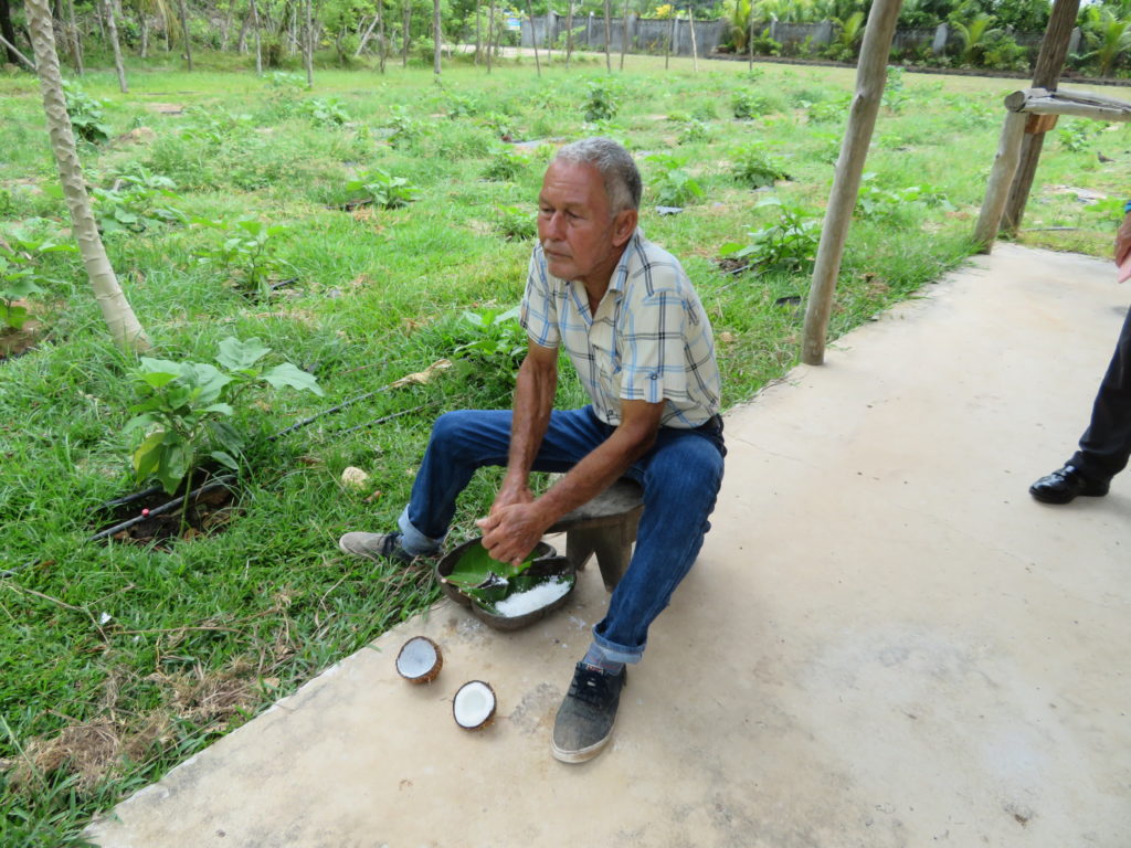 Coconut Scraping Praslin Island